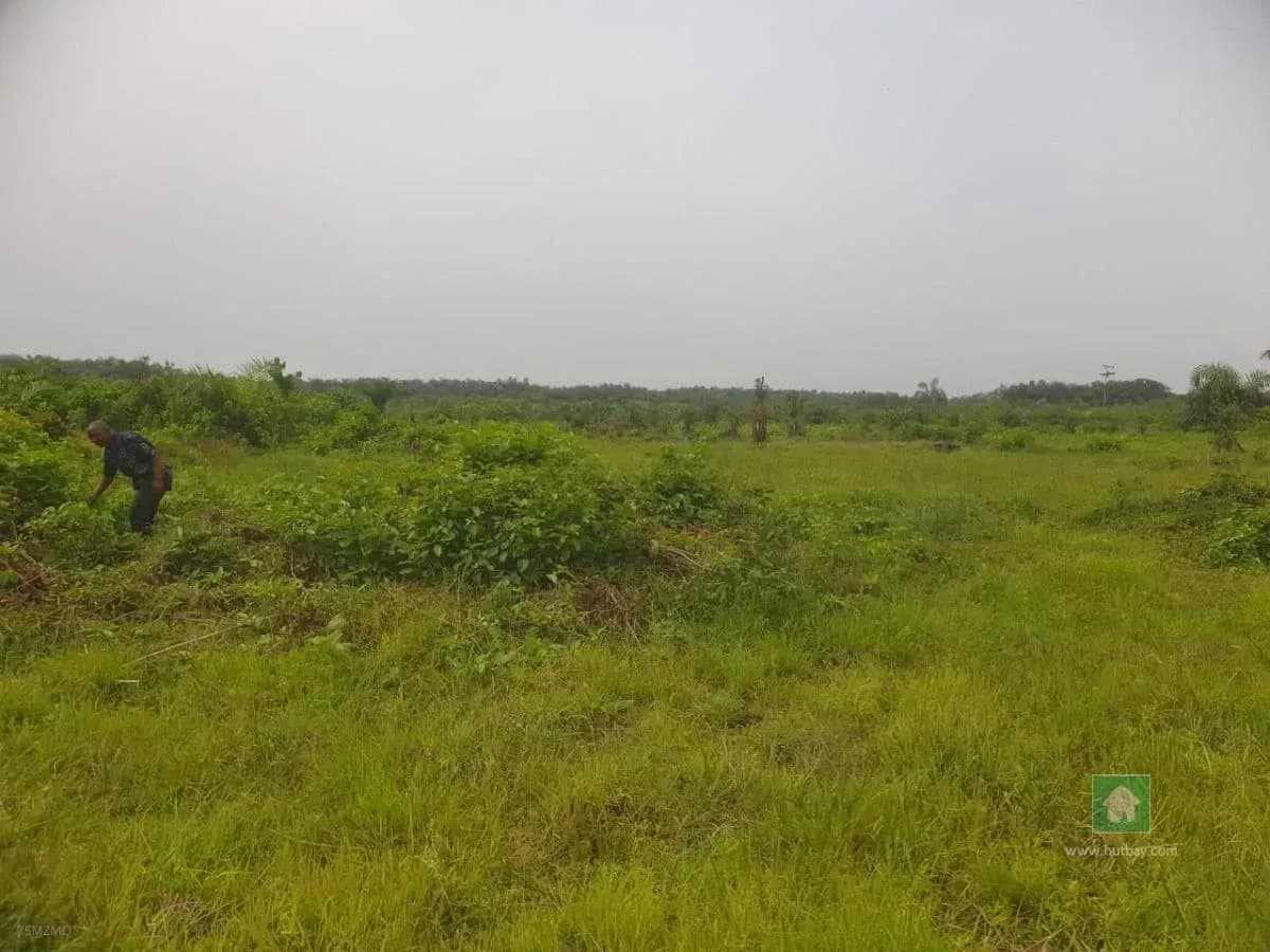 Spacious Land for Sale in Sangotedo, Ajah, Lagos