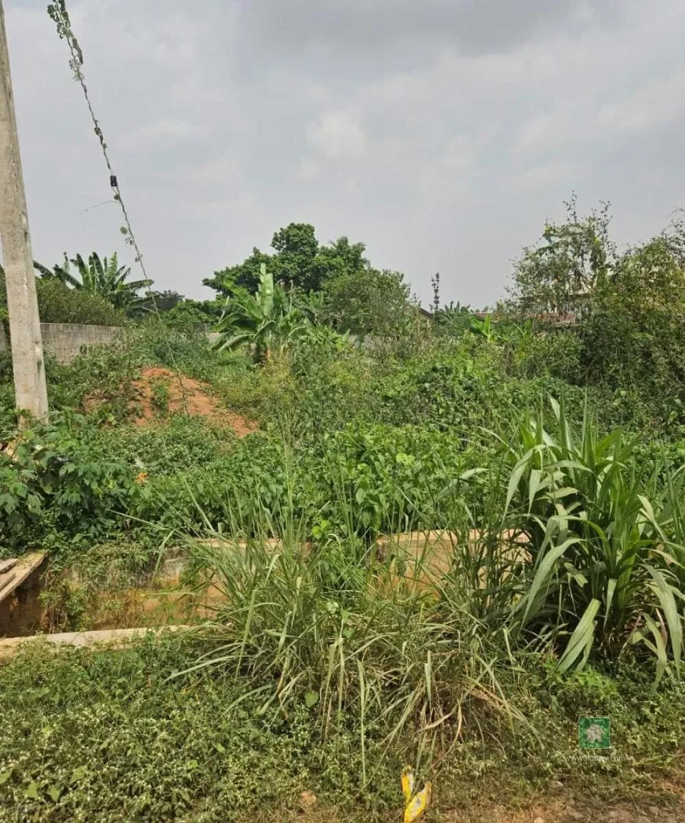 Prime Land for Sale in Ayobo, Lagos - 300 sqm