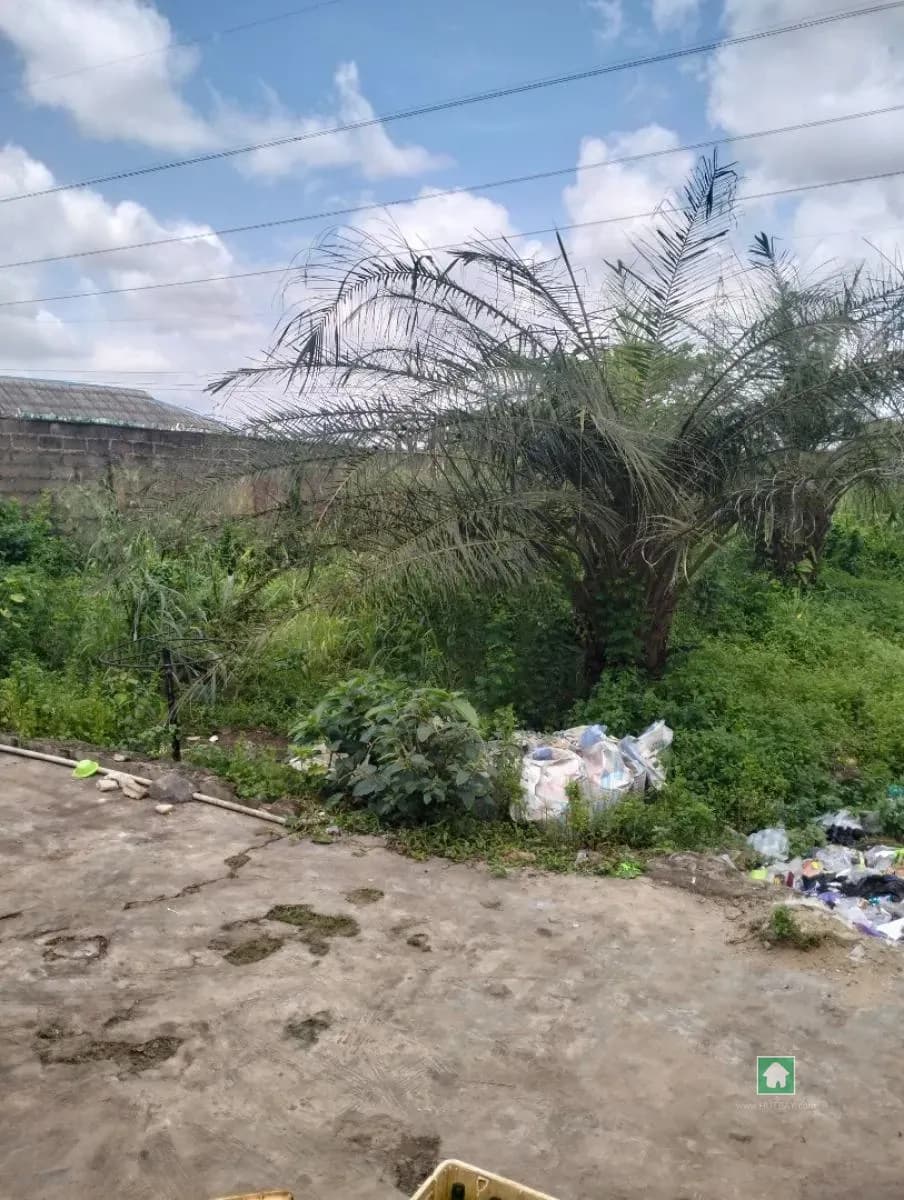 Prime Land For Sale in Ayobo, Lagos