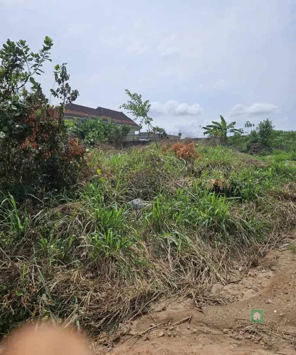 Land for Sale in Ayobo, Ideal for Development or Investment