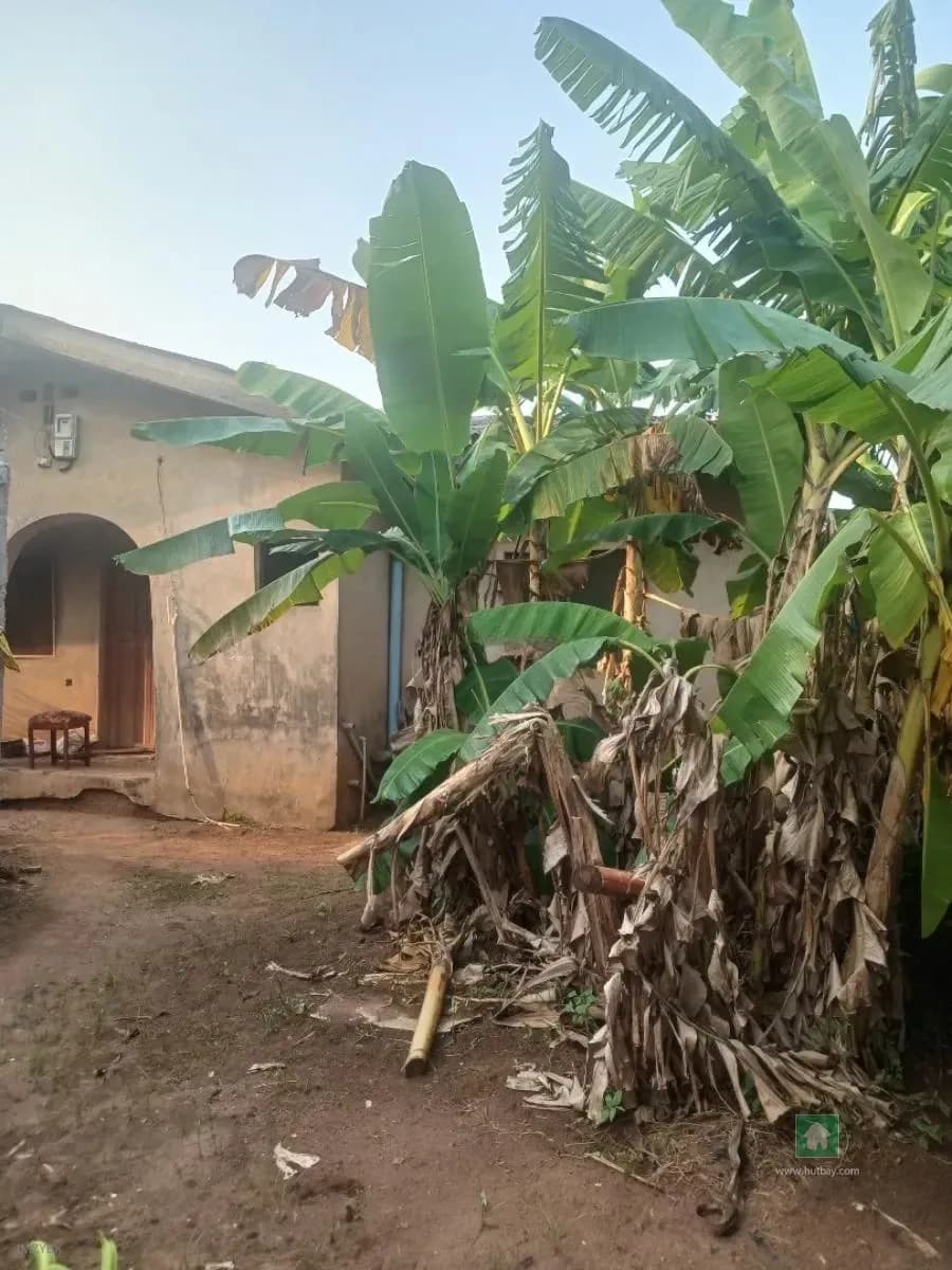 Spacious 4 Bedroom Bungalow in Ayobo, Lagos