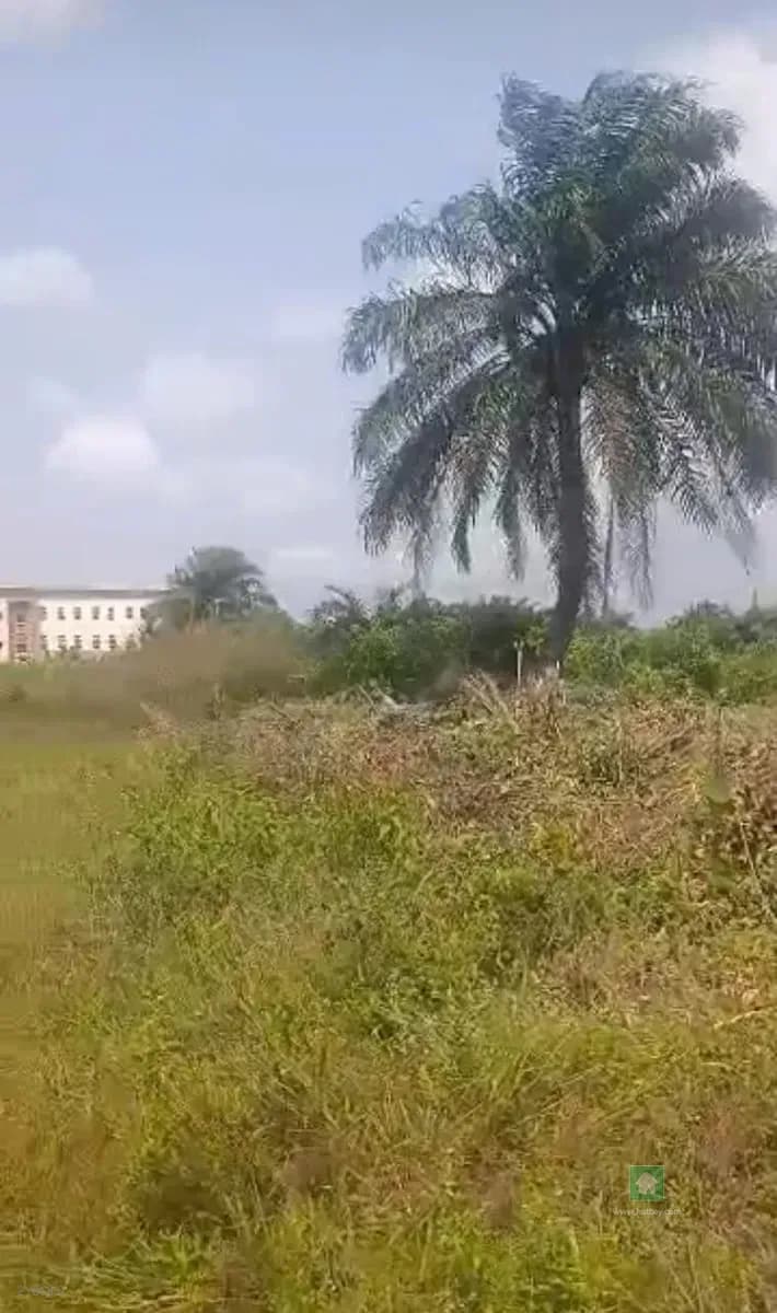 Spacious Land for Sale in Ajayi Apata Estate, Sangotedo, Lagos