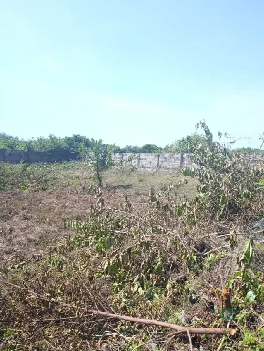 Prime Land for Sale in Sangotedo, Ajah, Lagos