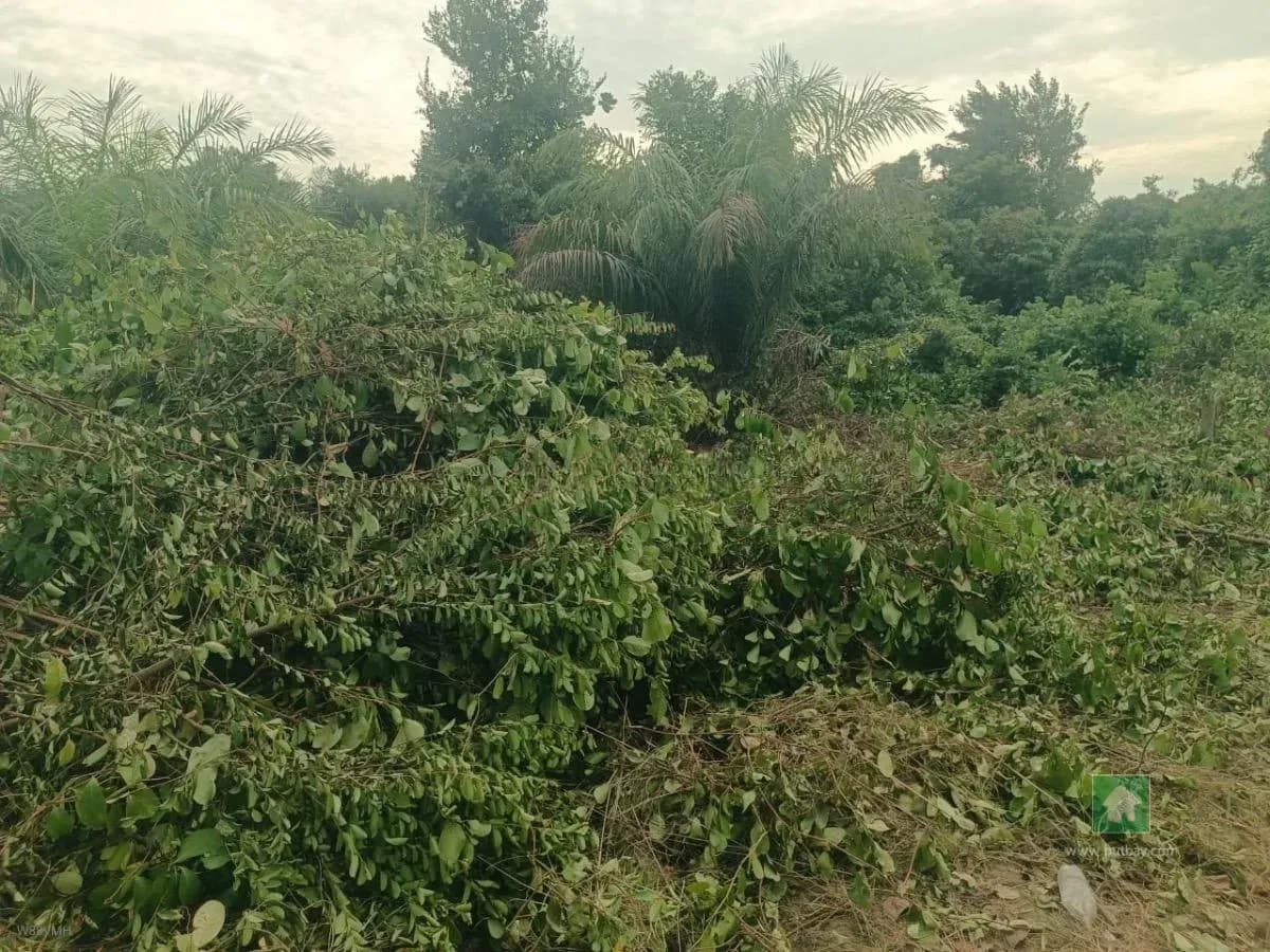 Prime Land For Sale in Sangotedo, Ajah, Lagos
