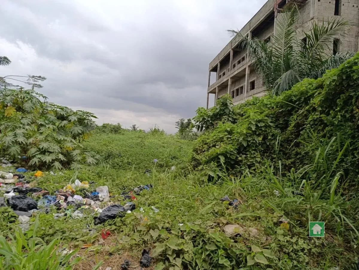 Expansive Land with Commercial Potential in Ipaja