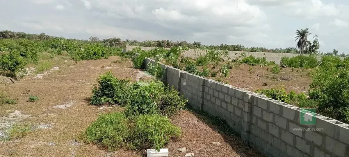 Prime Land for Sale in Sangotedo, Ajah, Lagos - C of O Title