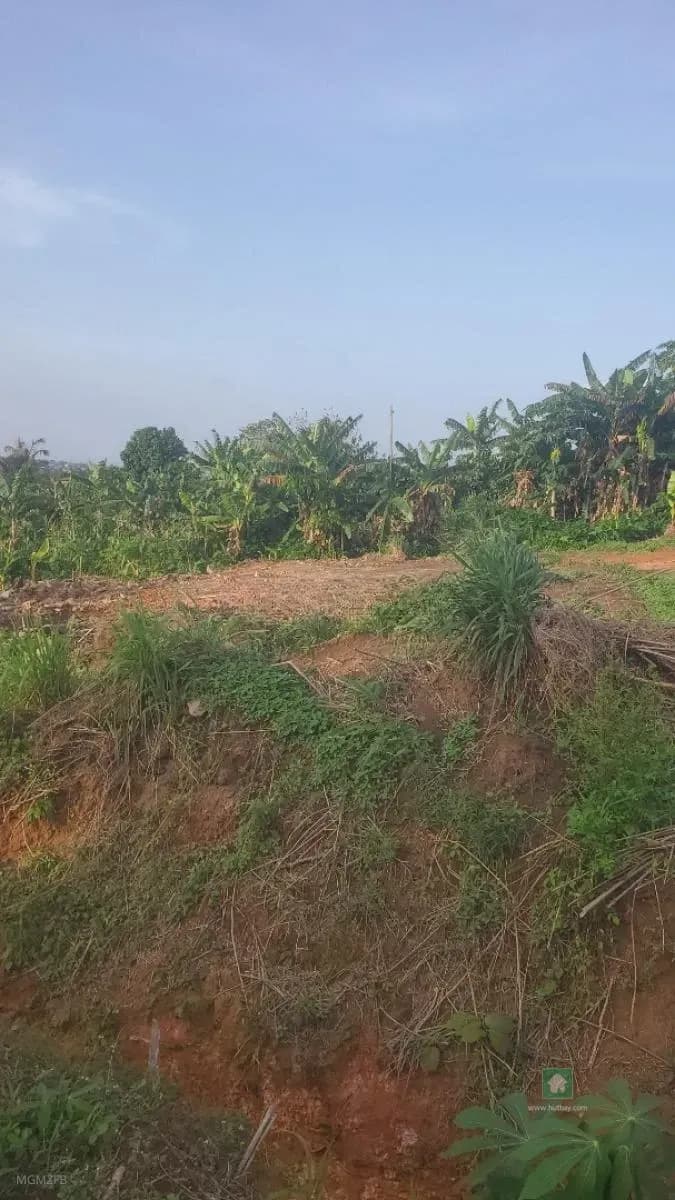 Land for Sale in Ayobo, Lagos – 120 sqm of Opportunity