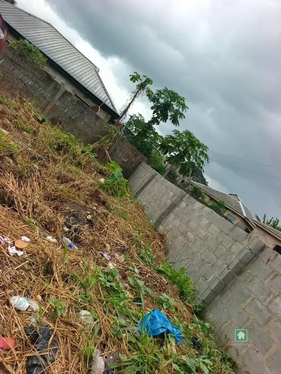 2-Acre Plot in Olorunisola, Ayobo, Lagos
